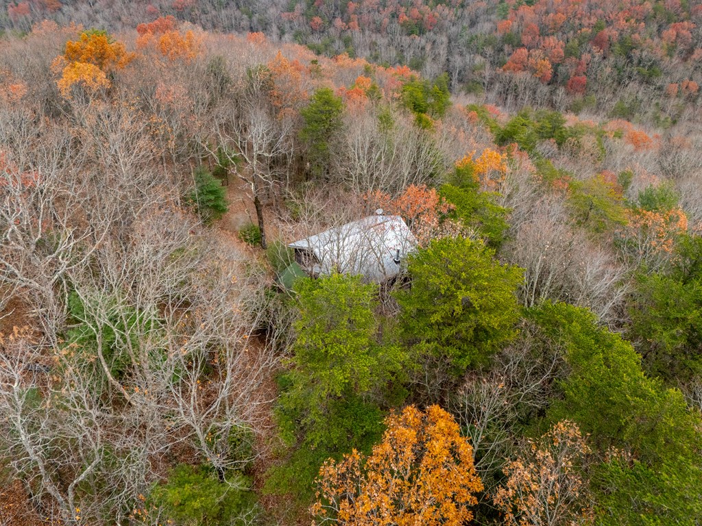 416244 Ellijay Residential