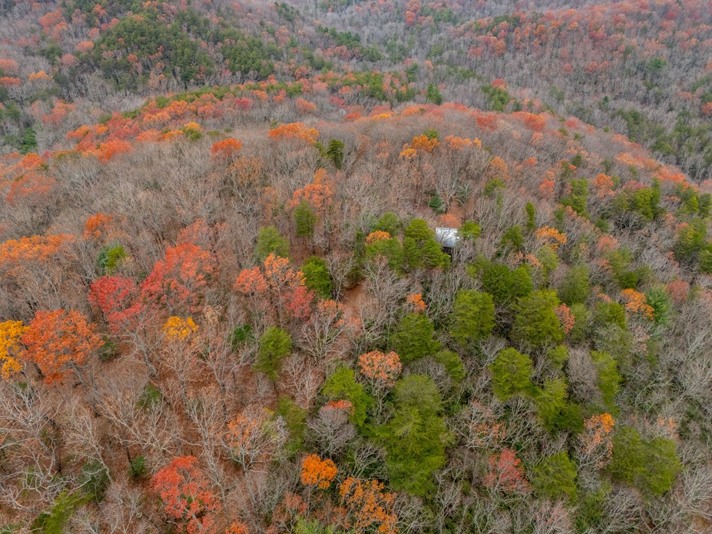 416244 Ellijay Residential