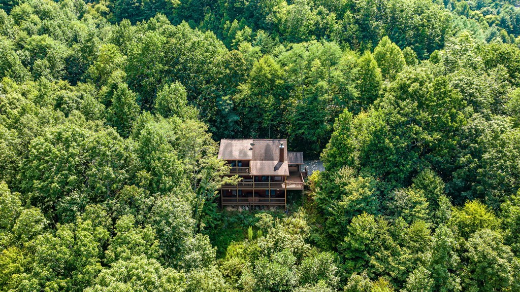 416261 Mineral Bluff Residential