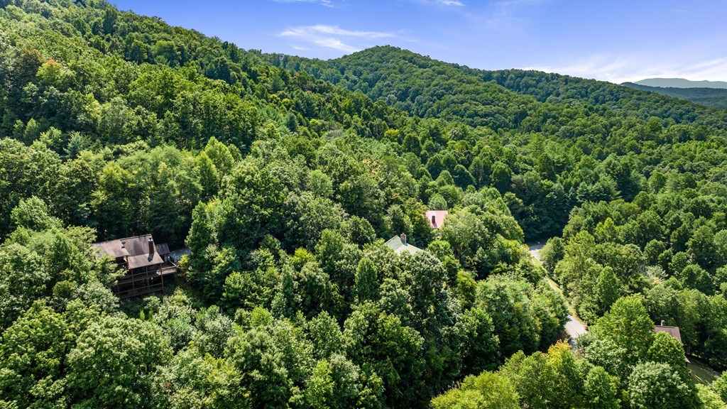 416261 Mineral Bluff Residential