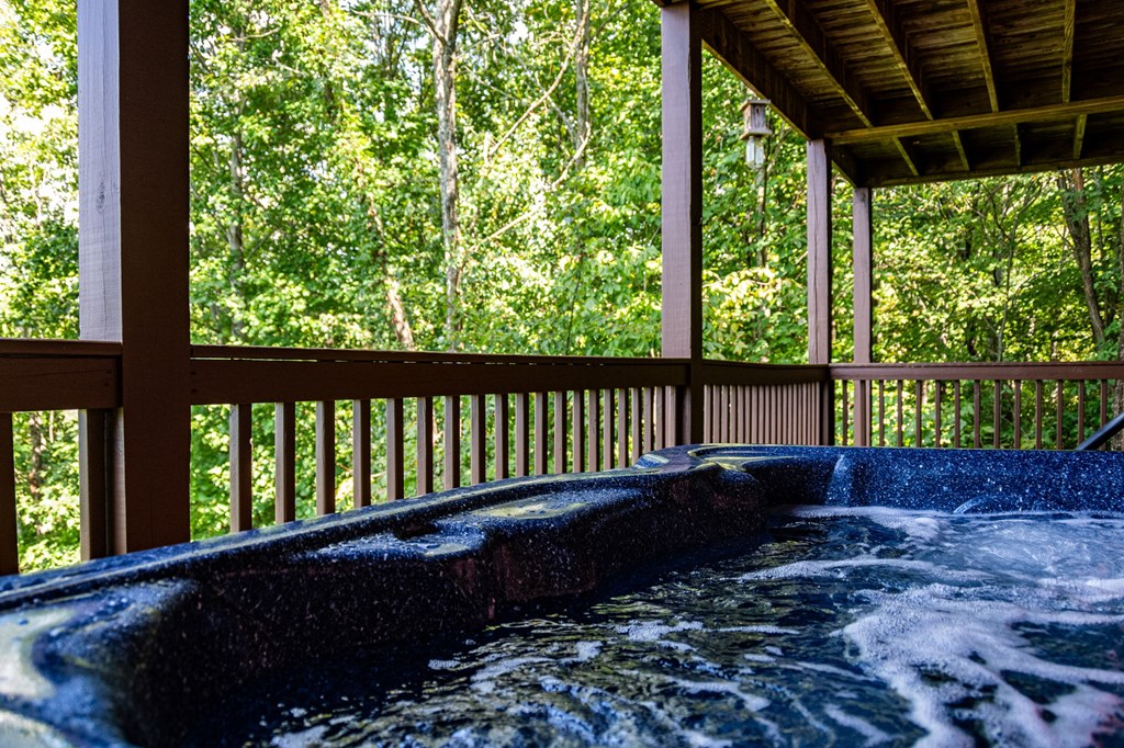 416261 Mineral Bluff Residential