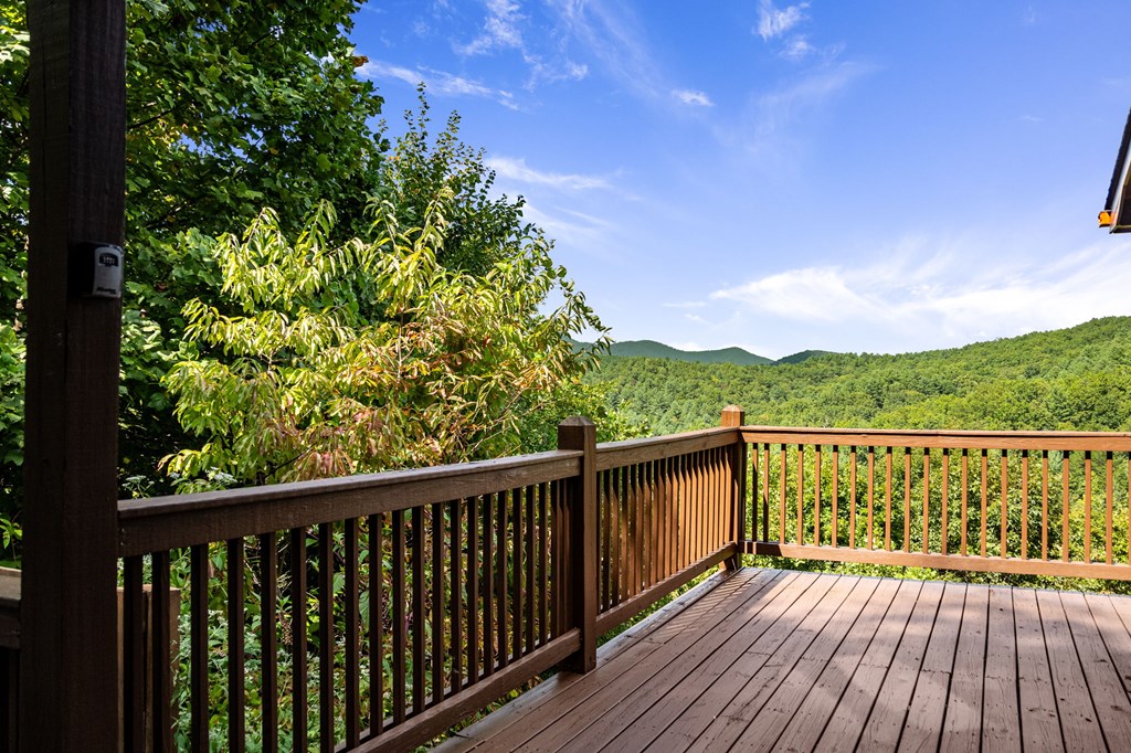 416261 Mineral Bluff Residential