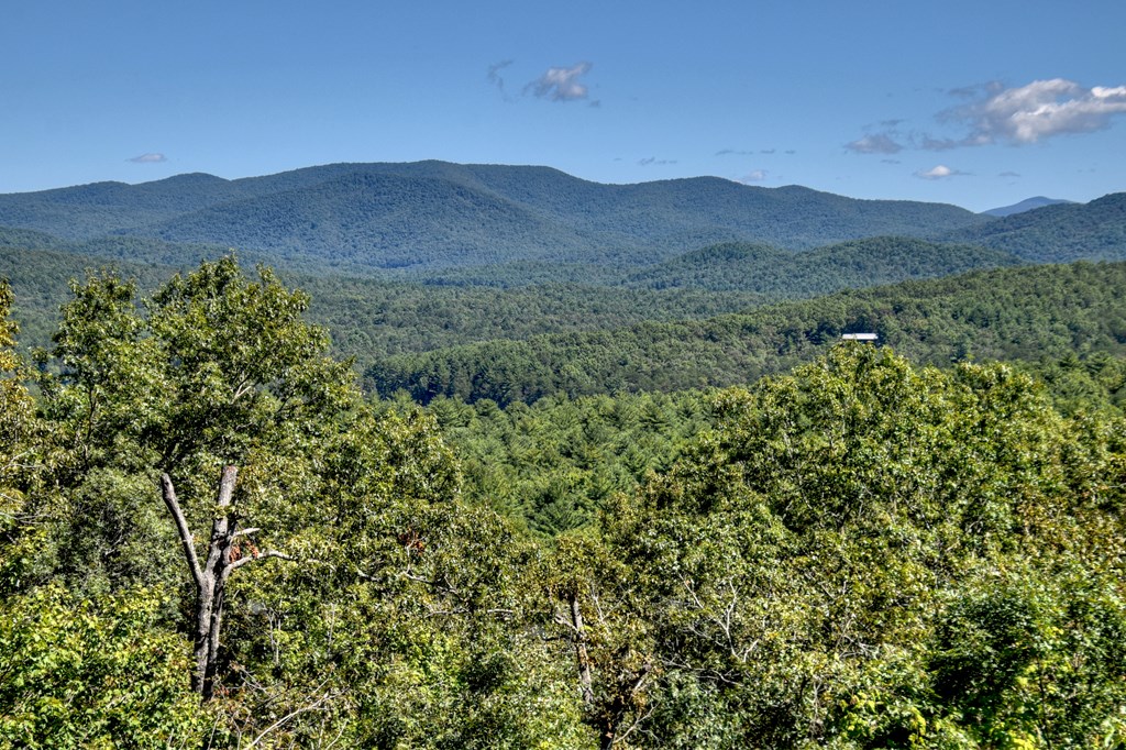 416266 Blue Ridge Residential