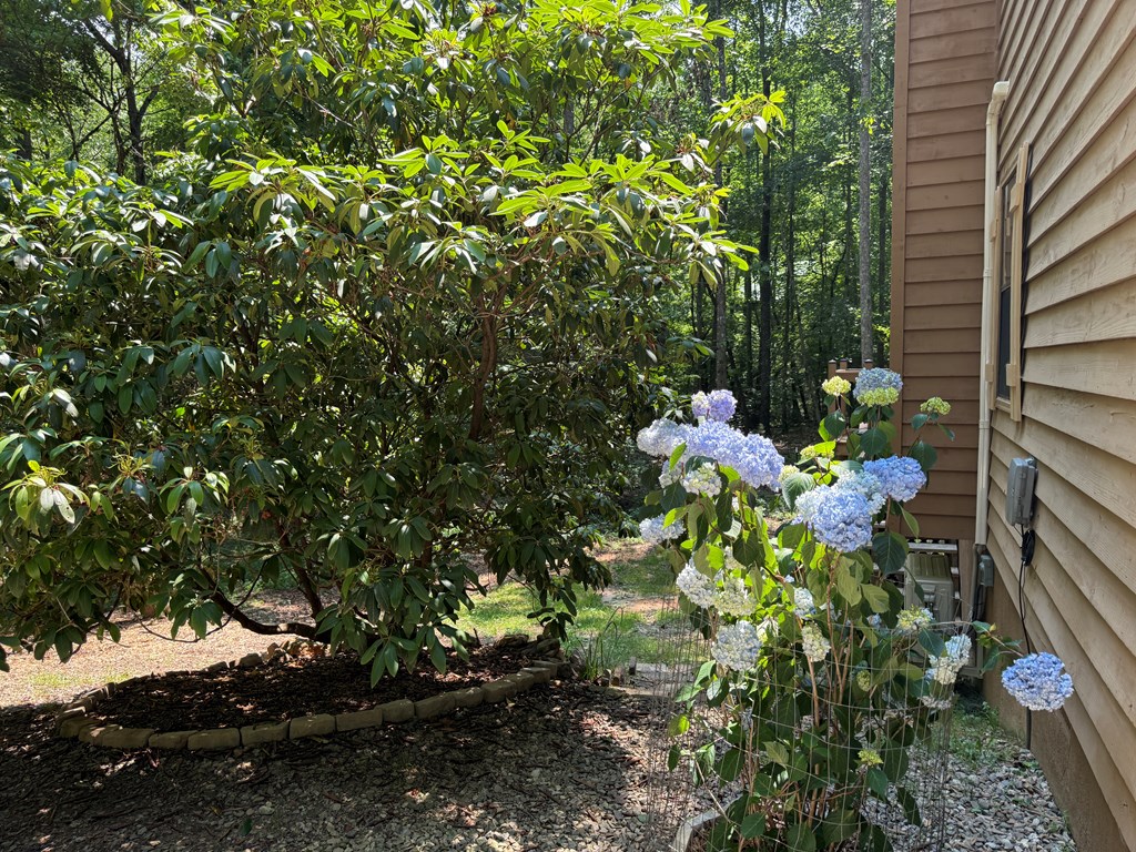 416273 Blairsville Residential