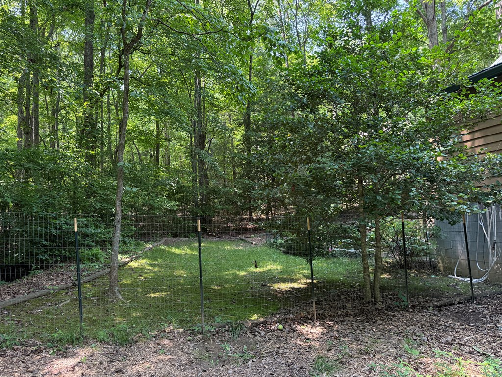 416273 Blairsville Residential