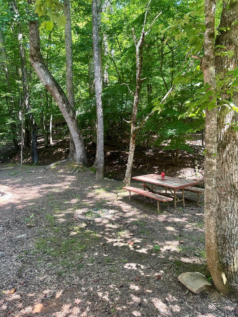 416282 Ellijay Residential