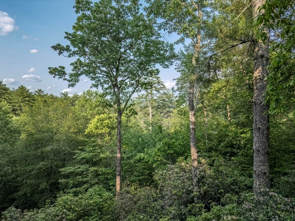 416304 Blue Ridge Residential