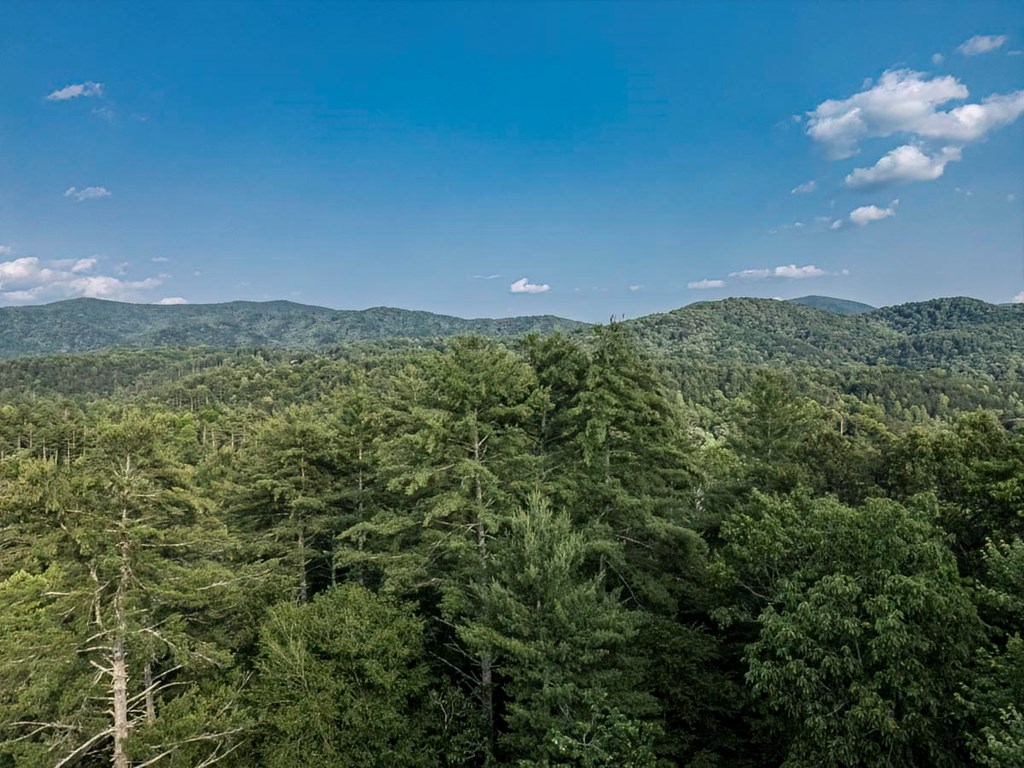 416304 Blue Ridge Residential