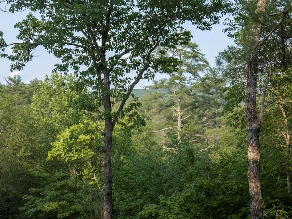 416304 Blue Ridge Residential