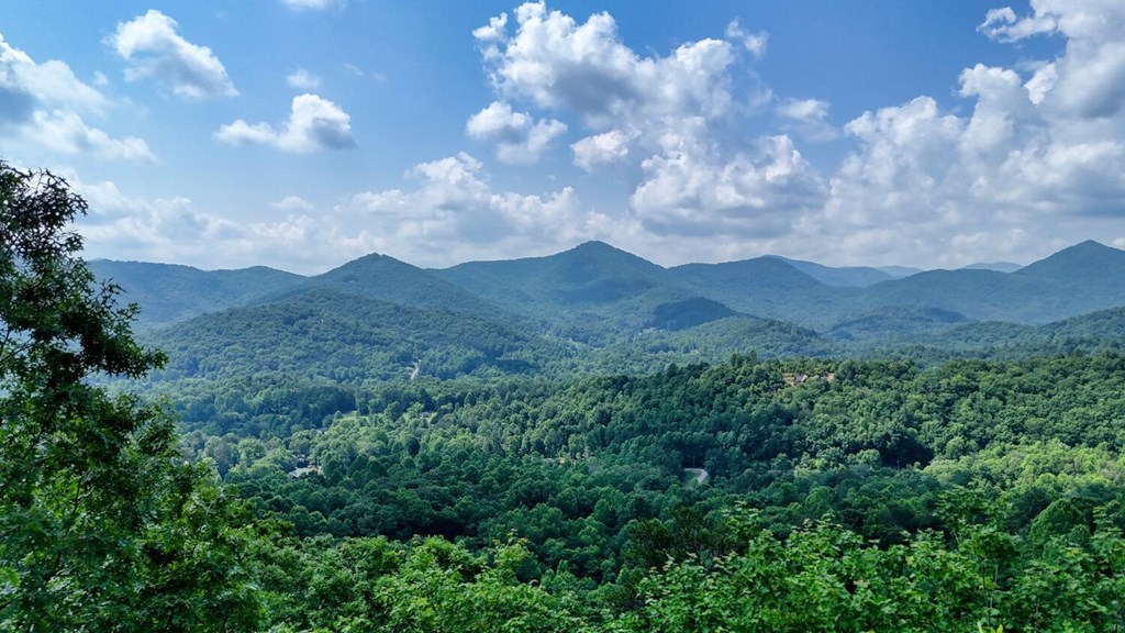 416312 Hiawassee Residential