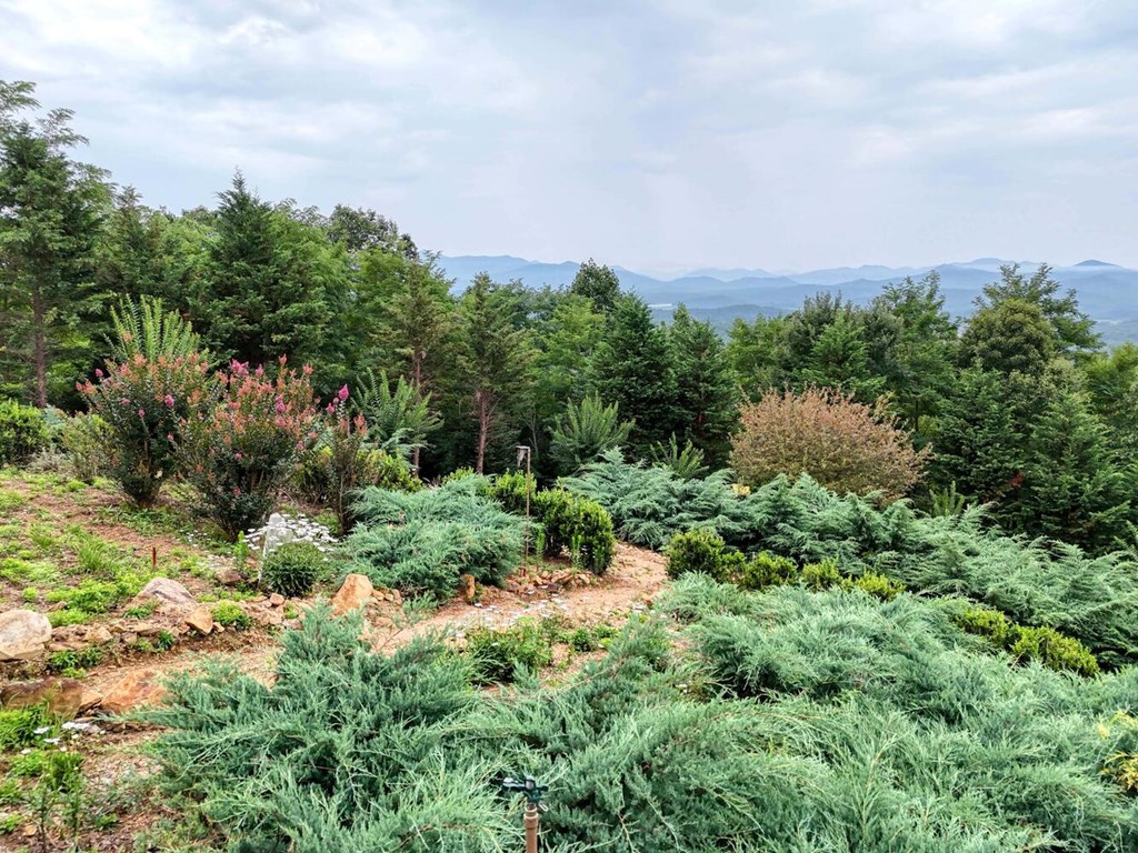416323 Hayesville Residential