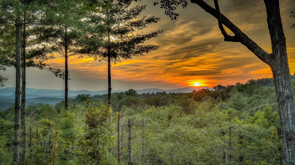 416326 Morganton Residential