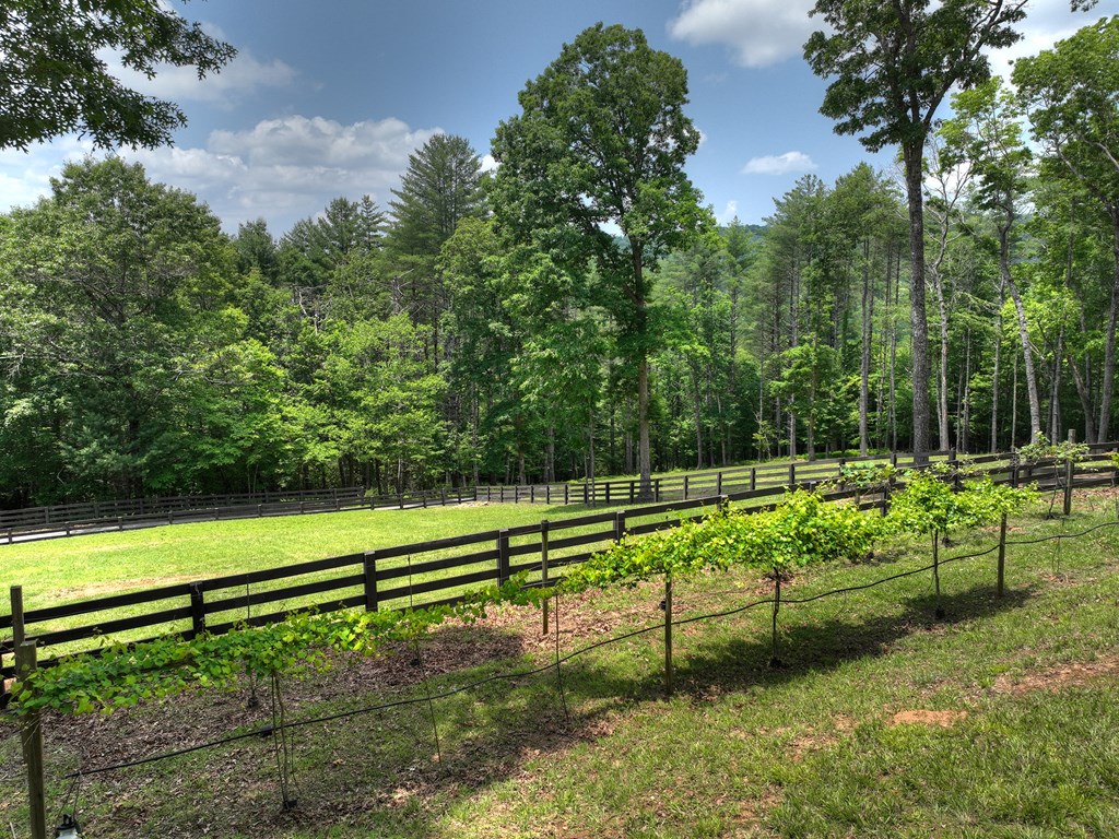 416336 Blue Ridge Residential