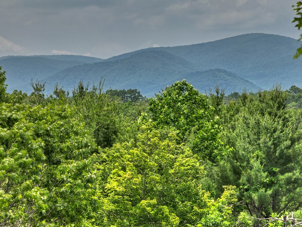 416336 Blue Ridge Residential
