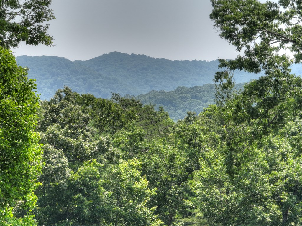 416339 Morganton Residential