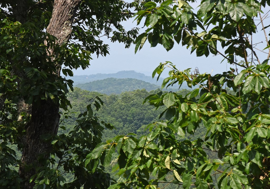 416340 Morganton Residential