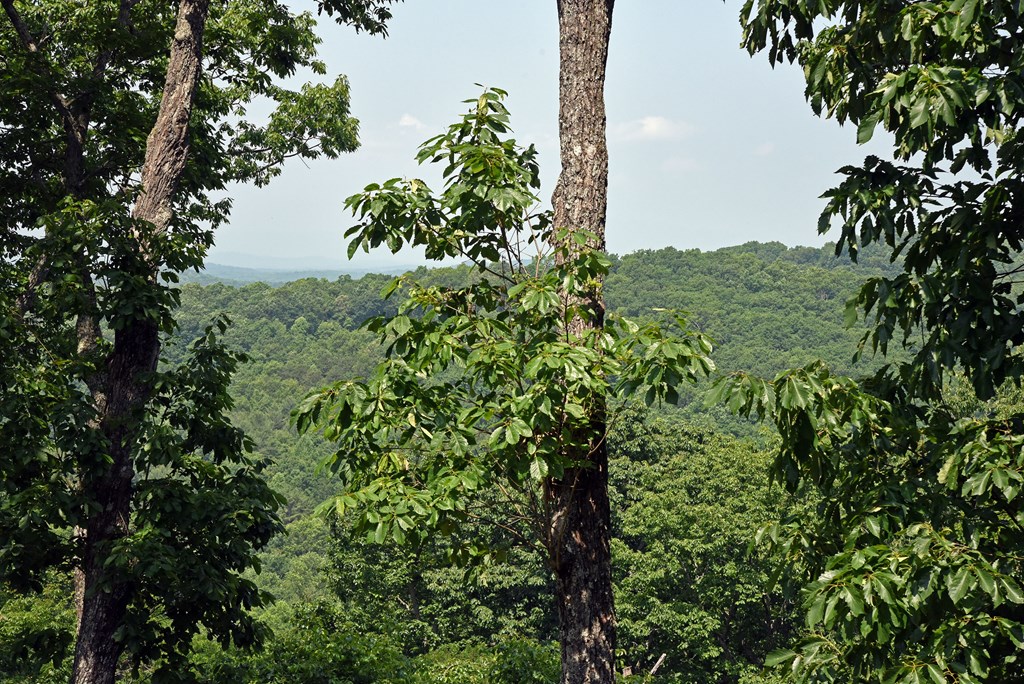 416340 Morganton Residential