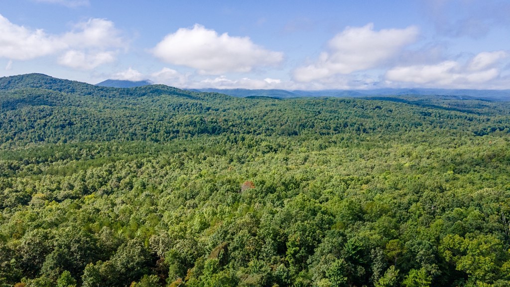416354 Morganton Residential
