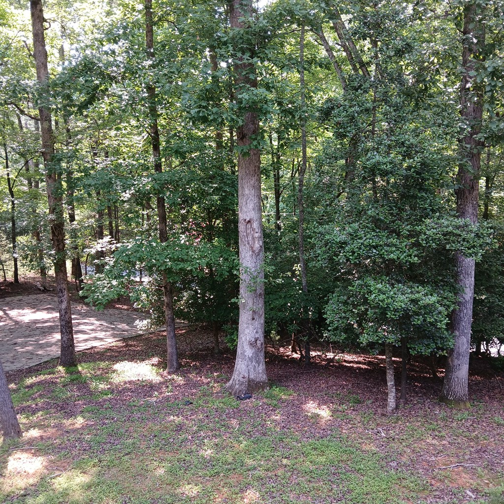 416359 Ellijay Residential