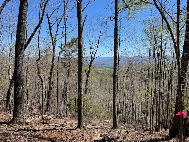 416362 Road Land
