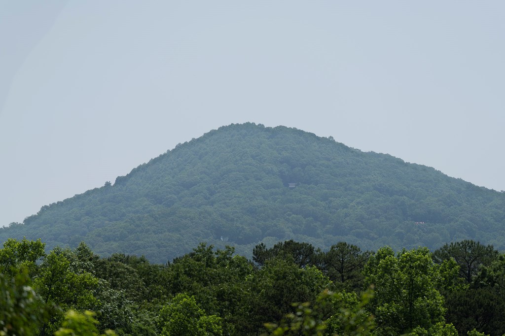 416402 Blairsville Residential