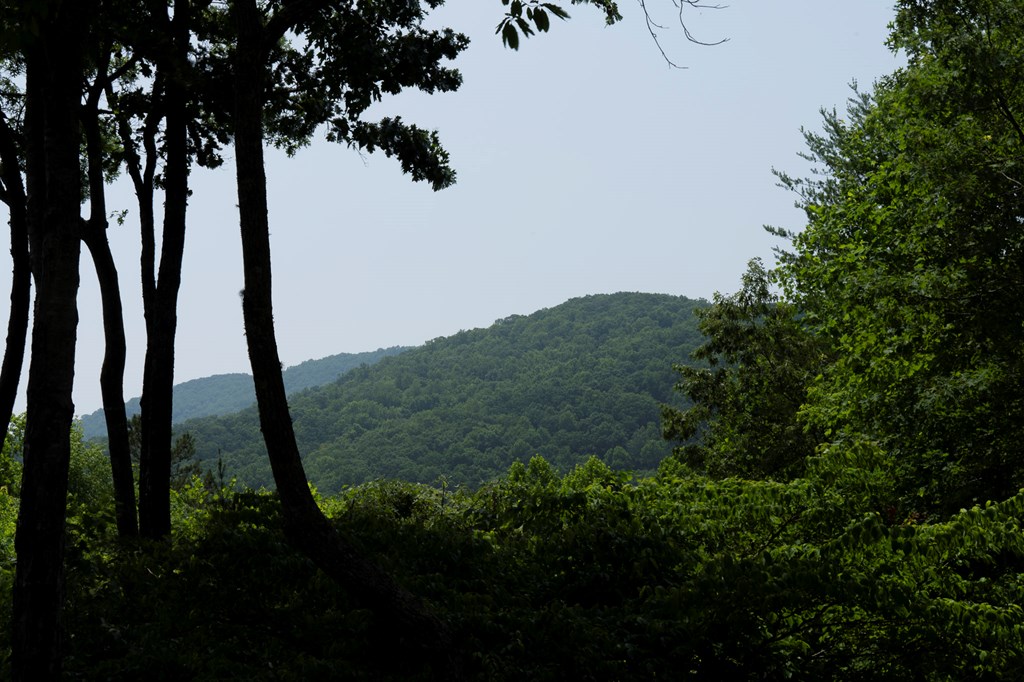 416402 Blairsville Residential