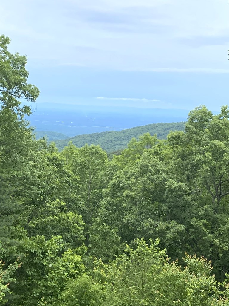 416487 Ellijay Residential