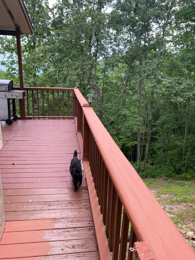 416487 Ellijay Residential