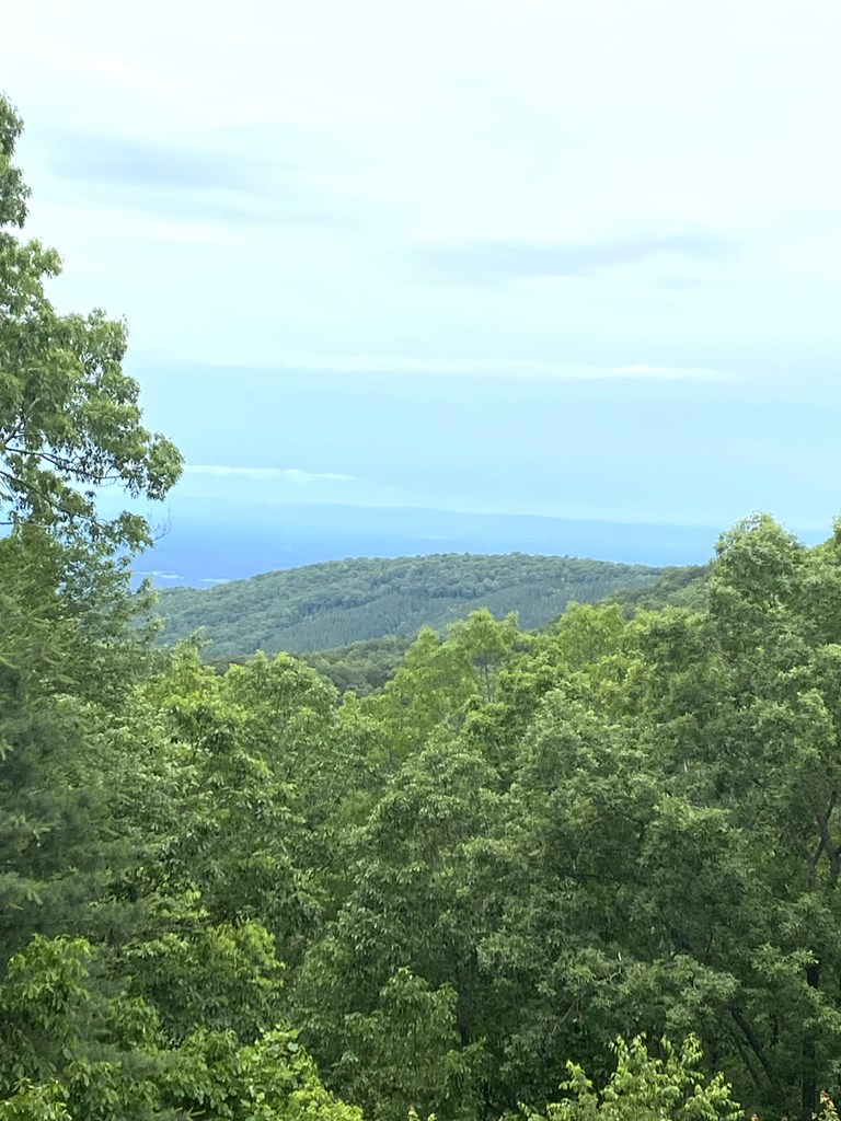 416487 Ellijay Residential
