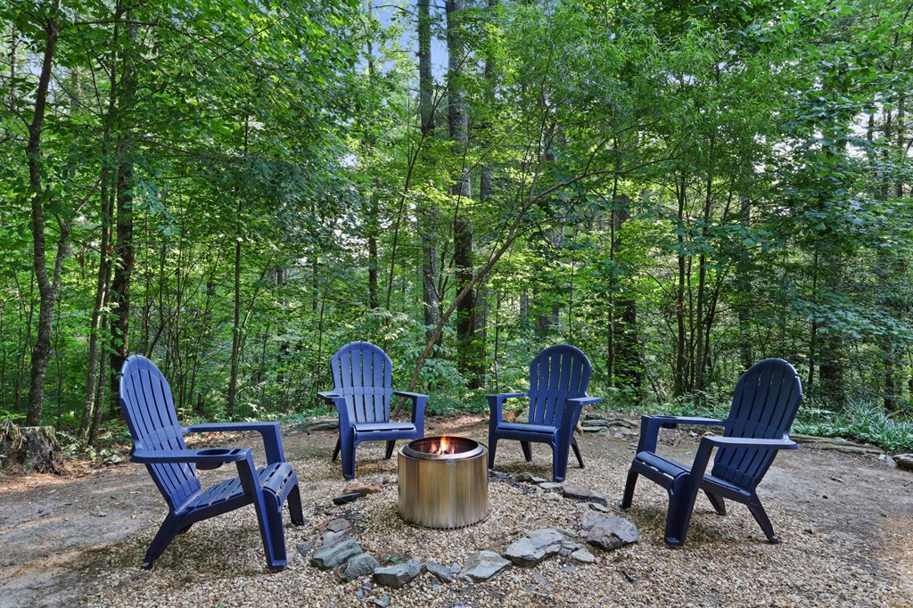 416501 Blue Ridge Residential