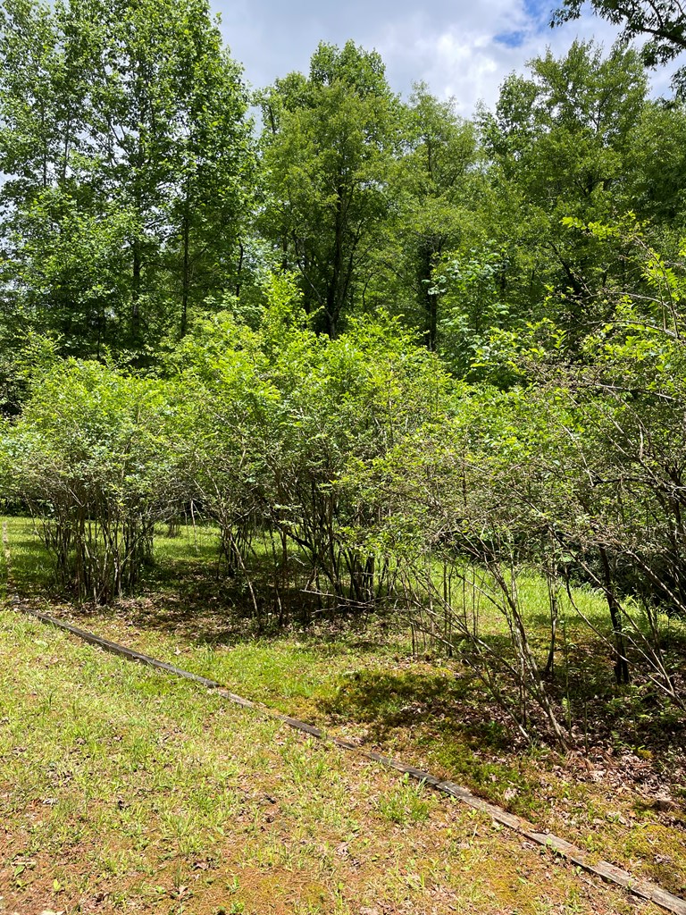 416504 Mineral Bluff Residential
