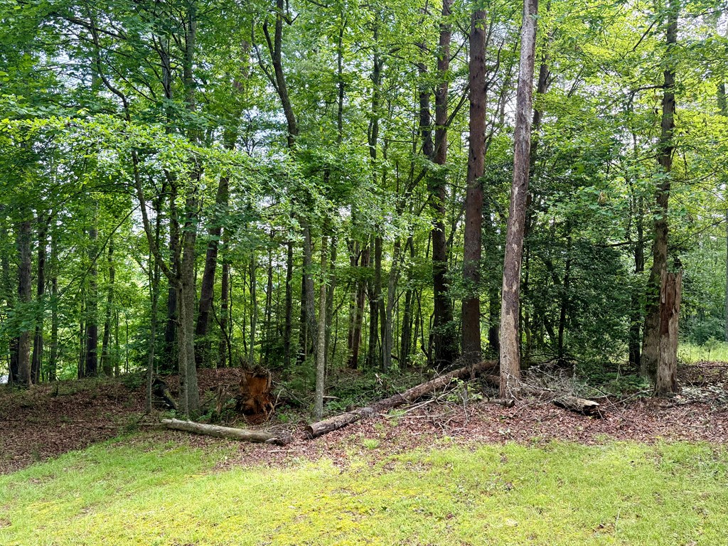 416511 Blairsville Residential