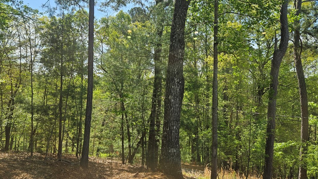 416523 Ellijay Residential
