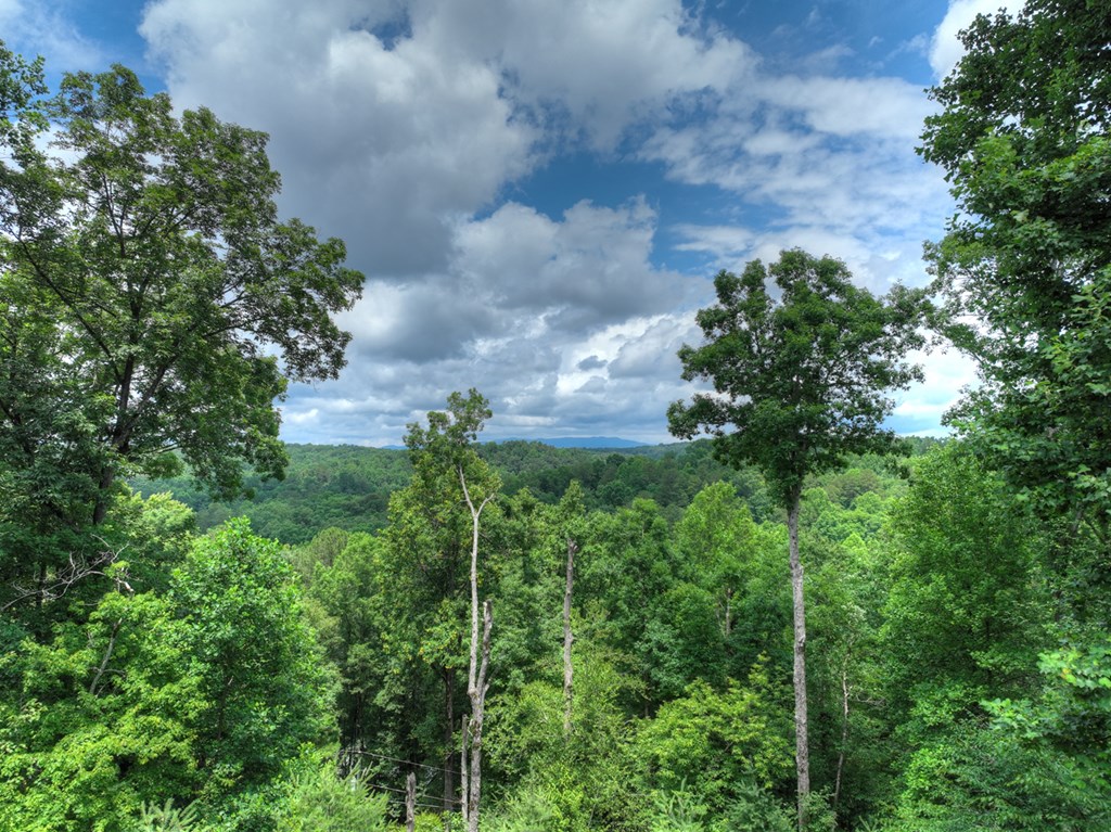 416528 Ellijay Residential
