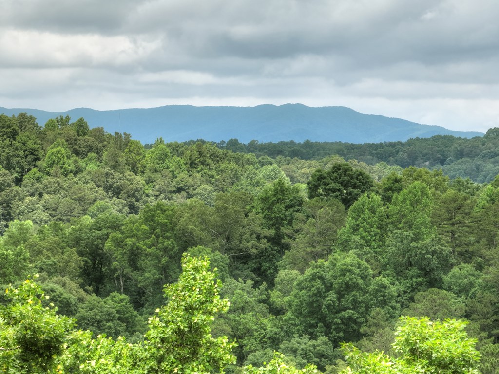 416528 Ellijay Residential