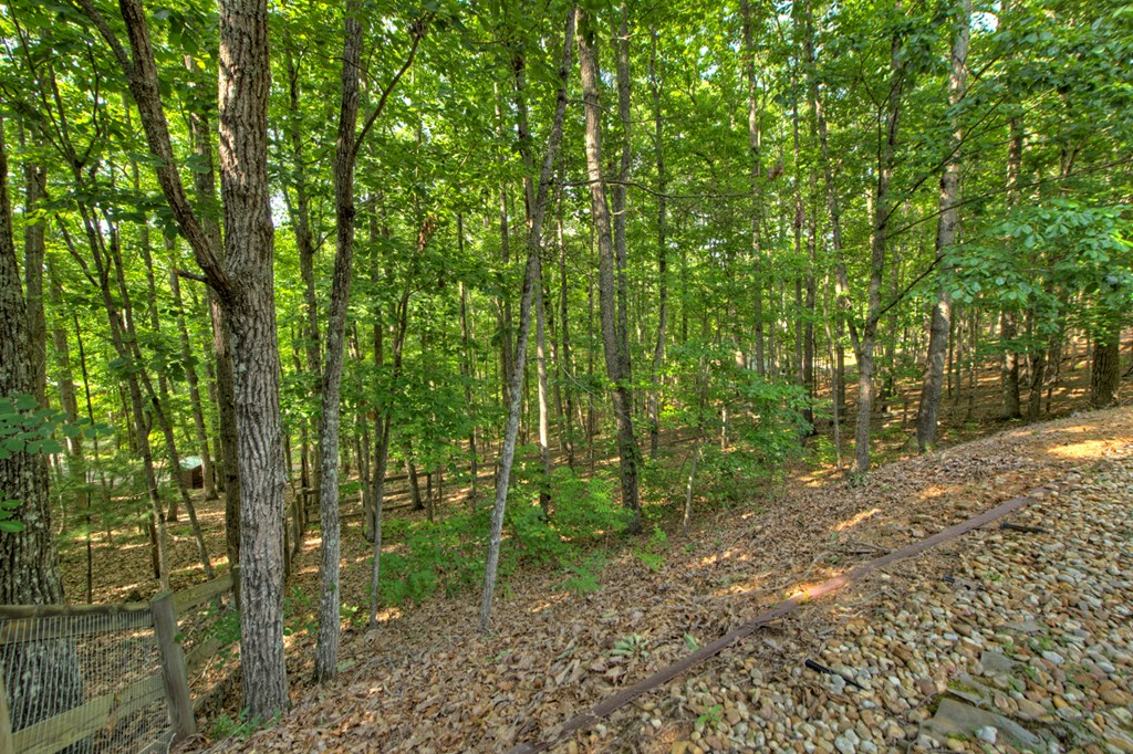 416548 Blairsville Residential