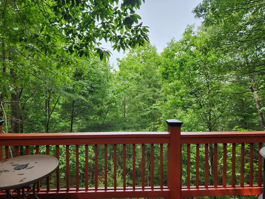 416566 Ellijay Residential