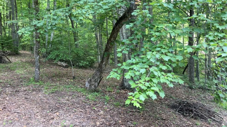 416591 Hayesville Residential