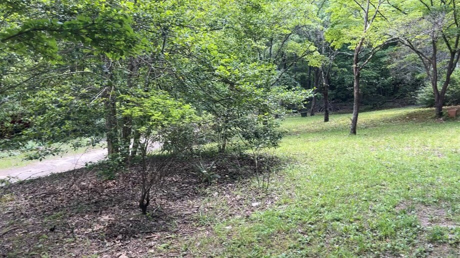416591 Hayesville Residential