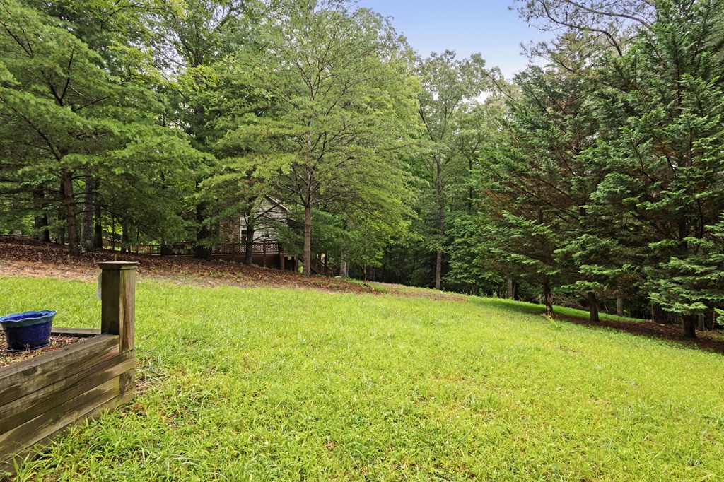 416600 Ellijay Residential