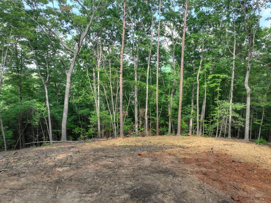 416606 Blue Ridge 