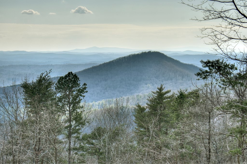 416629 Ellijay Residential