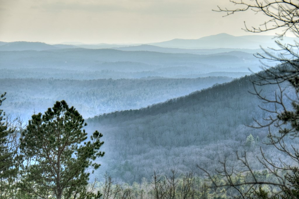 416629 Ellijay Residential