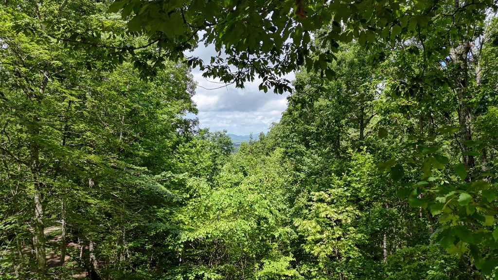 416638 Blairsville Residential