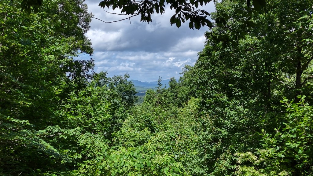 416638 Blairsville Residential