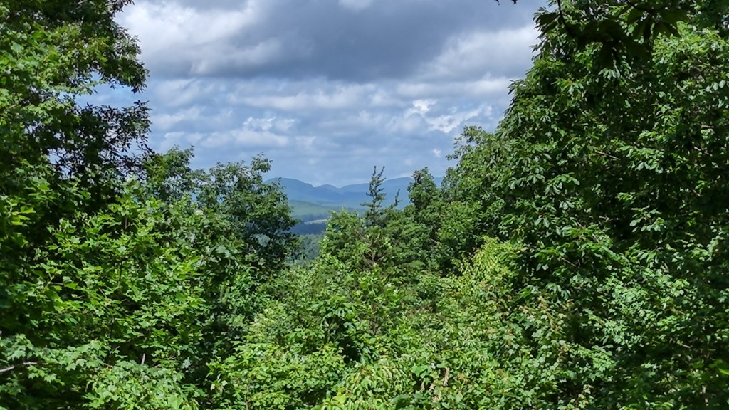 416638 Blairsville Residential