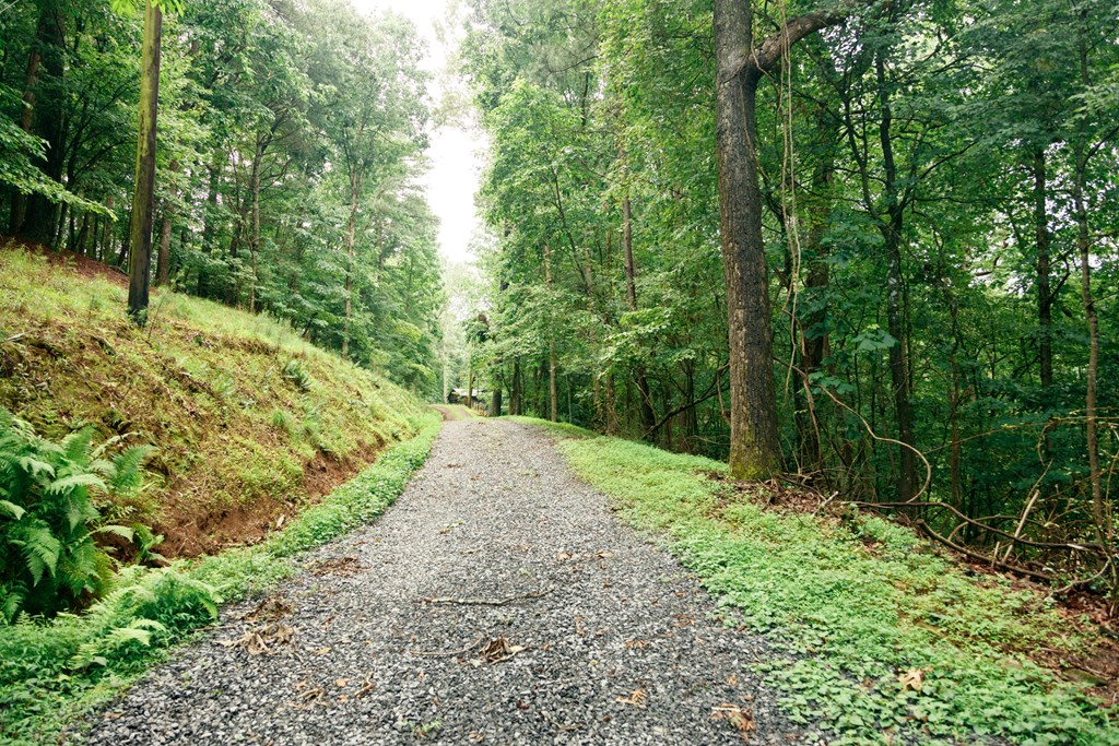 416643 Ellijay Residential