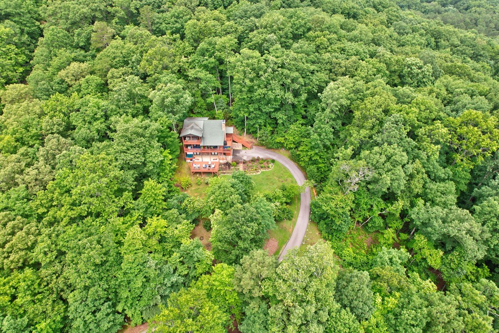 416669 Blue Ridge Residential