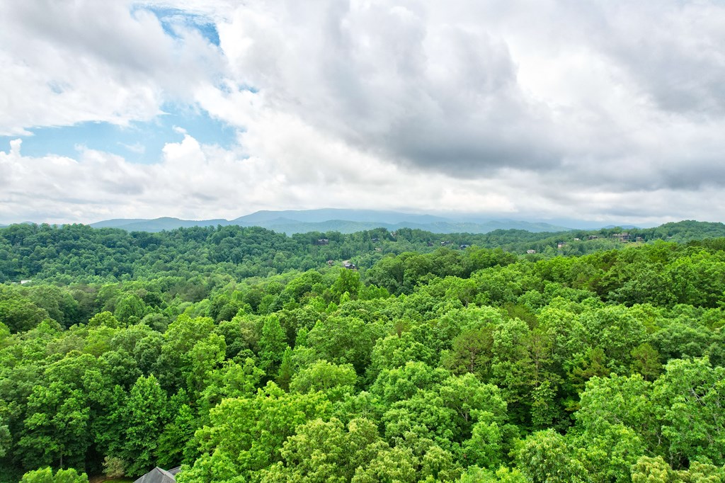 416669 Blue Ridge Residential