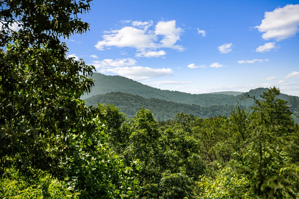 416680 Blue Ridge Residential